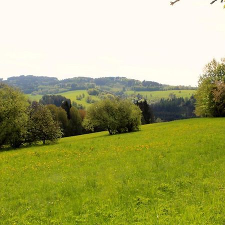 Penzion Ve Stodole Zlata Olesnice  Exterior foto